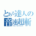 とある達人の音速超斬（ウスバカゲロウ）