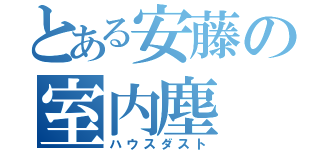 とある安藤の室内塵（ハウスダスト）