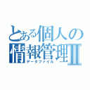 とある個人の情報管理Ⅱ（データファイル）