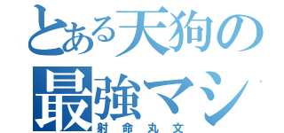 とある天狗の最強マシン（射命丸文）