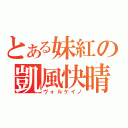 とある妹紅の凱風快晴（ヴォルケイノ）