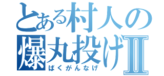 とある村人の爆丸投げⅡ（ばくがんなげ）