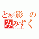 とある影のみみずく（ＨｏｒｎｅｔＯｗｌ）