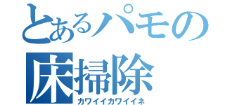 とあるパモの床掃除（カワイイカワイイネ）