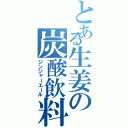 とある生姜の炭酸飲料Ⅱ（ジンジャーエール）