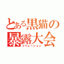 とある黒猫の暴露大会（リベレーション）