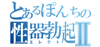 とあるぽんちの性器勃起Ⅱ（エレクト）