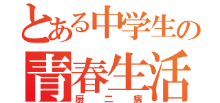 とある中学生の青春生活（厨二病）