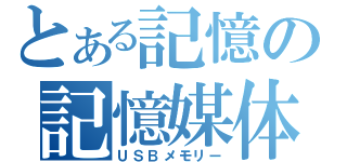 とある記憶の記憶媒体（ＵＳＢメモリー）