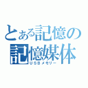 とある記憶の記憶媒体（ＵＳＢメモリー）