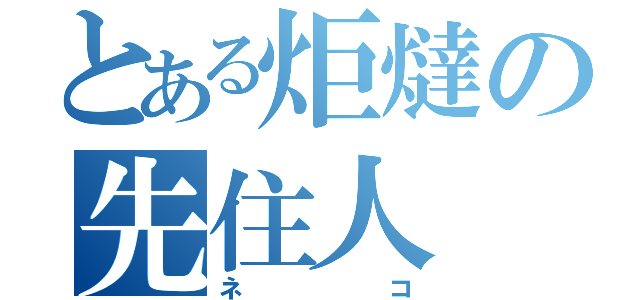 とある炬燵の先住人（ネコ）