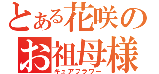 とある花咲のお祖母様（キュアフラワー）