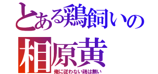 とある鶏飼いの相原黄（俺に従わない鶏は無い）