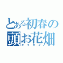 とある初春の頭お花畑（キチガイ）