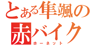 とある隼颯の赤バイク（ホーネット）