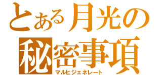 とある月光の秘密事項（マルヒジェネレート）