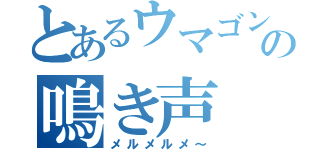 とあるウマゴンの鳴き声（メルメルメ～）