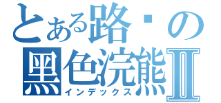 とある路过の黑色浣熊Ⅱ（インデックス）