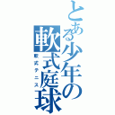 とある少年の軟式庭球（軟式テニス）