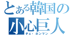 とある韓国の小心巨人（チェ・ホンマン）