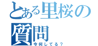 とある里桜の質問（今何してる？）