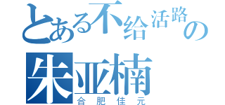 とある不给活路の朱亚楠（合肥佳元）