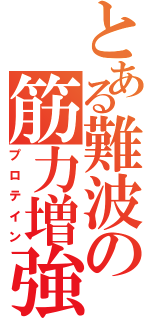 とある難波の筋力増強（プロテイン）