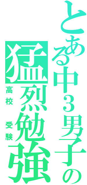 とある中３男子の猛烈勉強（高校 受験）