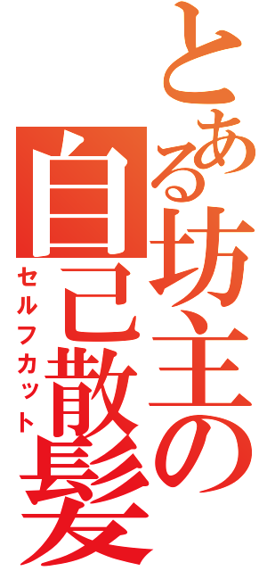 とある坊主の自己散髪（セルフカット）