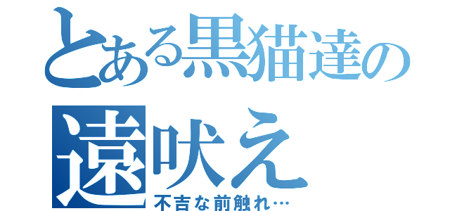 とある黒猫達の遠吠え（不吉な前触れ…）