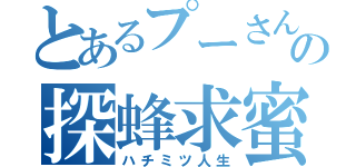 とあるプーさんの探蜂求蜜（ハチミツ人生）