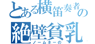 とある横笛奏者の絶壁貧乳（ノームネーの）