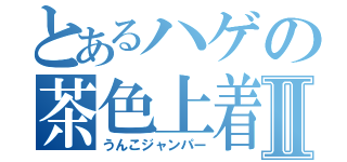 とあるハゲの茶色上着Ⅱ（うんこジャンパー）