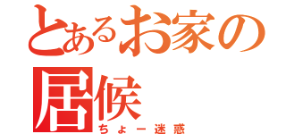 とあるお家の居候（ちょー迷惑）