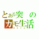 とある突のカモ生活（乙エイム）