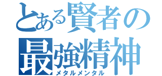 とある賢者の最強精神（メタルメンタル）