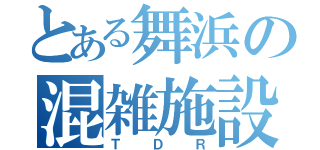 とある舞浜の混雑施設（ＴＤＲ）