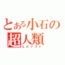 とある小石の超人類（エロリスト）