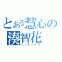 とある慧心の湊智花（インデックス）