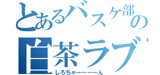 とあるバスケ部の白茶ラブ（しろちゃーーーーん）