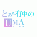 とある有中のＵＭＡ（松○知美）