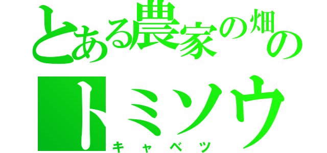 とある農家の畑のトミソウ（キャベツ）