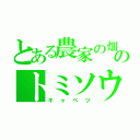 とある農家の畑のトミソウ（キャベツ）