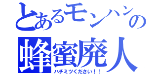 とあるモンハンの蜂蜜廃人（ハチミツください！！）