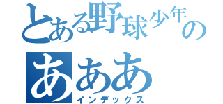 とある野球少年のあああ（インデックス）
