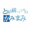 とある構って兎のかみまみた（）