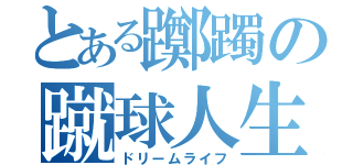 とある躑躅の蹴球人生（ドリームライフ）