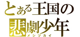 とある王国の悲劇少年（メシツカイ）