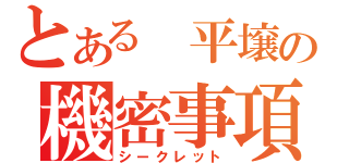 とある 平壌の機密事項（シークレット）