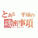 とある 平壌の機密事項（シークレット）